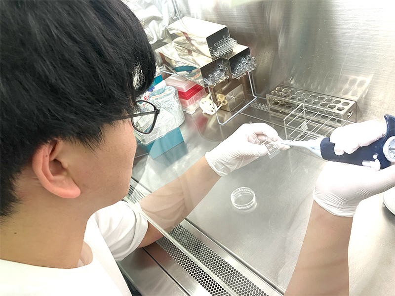 研究のきっかけ