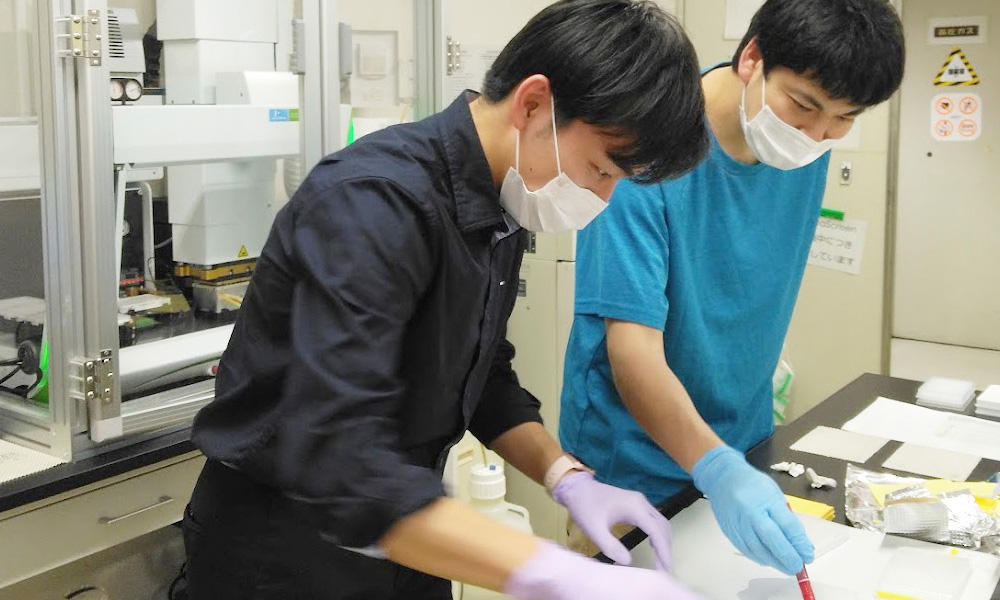 研究上の工夫等